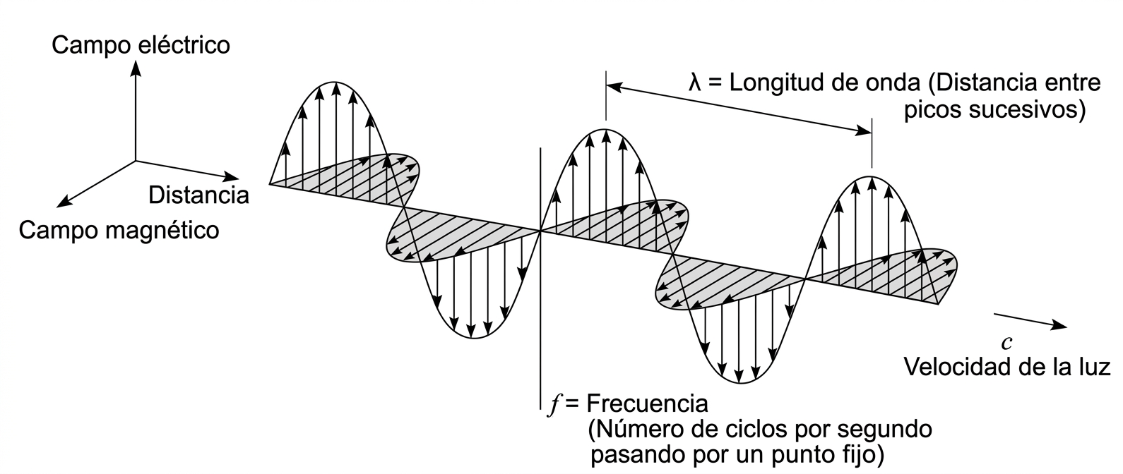 Propagación del campo electromagnético